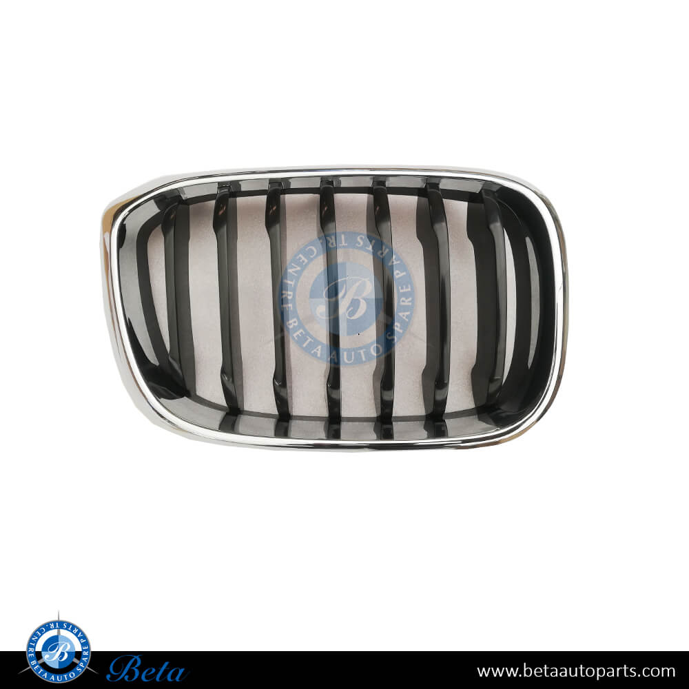 Right Side Grille for BMW X3/X4 G01/G02 2018-up models, Part Number 51137397466 Right Side Grille for BMW X3/X4 G01/G02 2018-up models, Part Number 51137397466